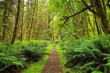 Olympic National Park