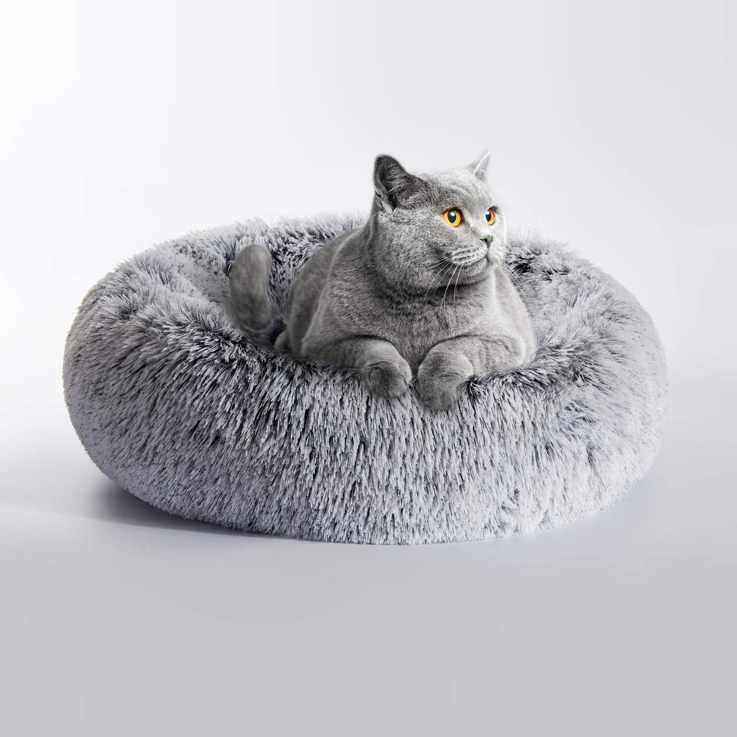 Gray 2024 cat bed