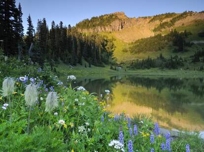 Tipsoo Lake