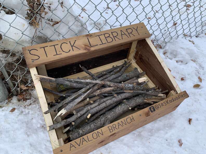 Father and son build stick libraries for dogs