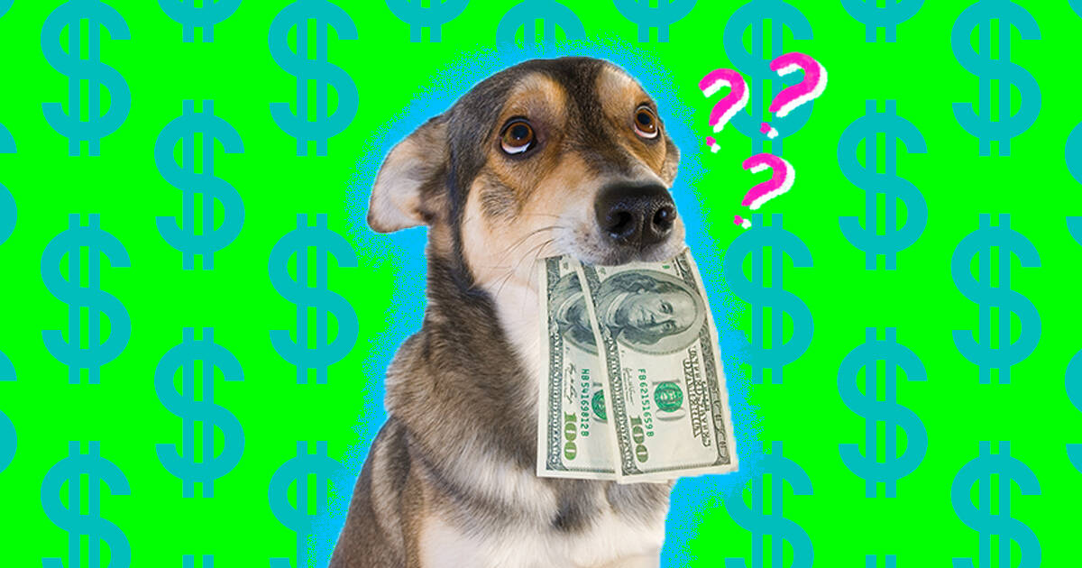 Cost of adopting a 2024 dog