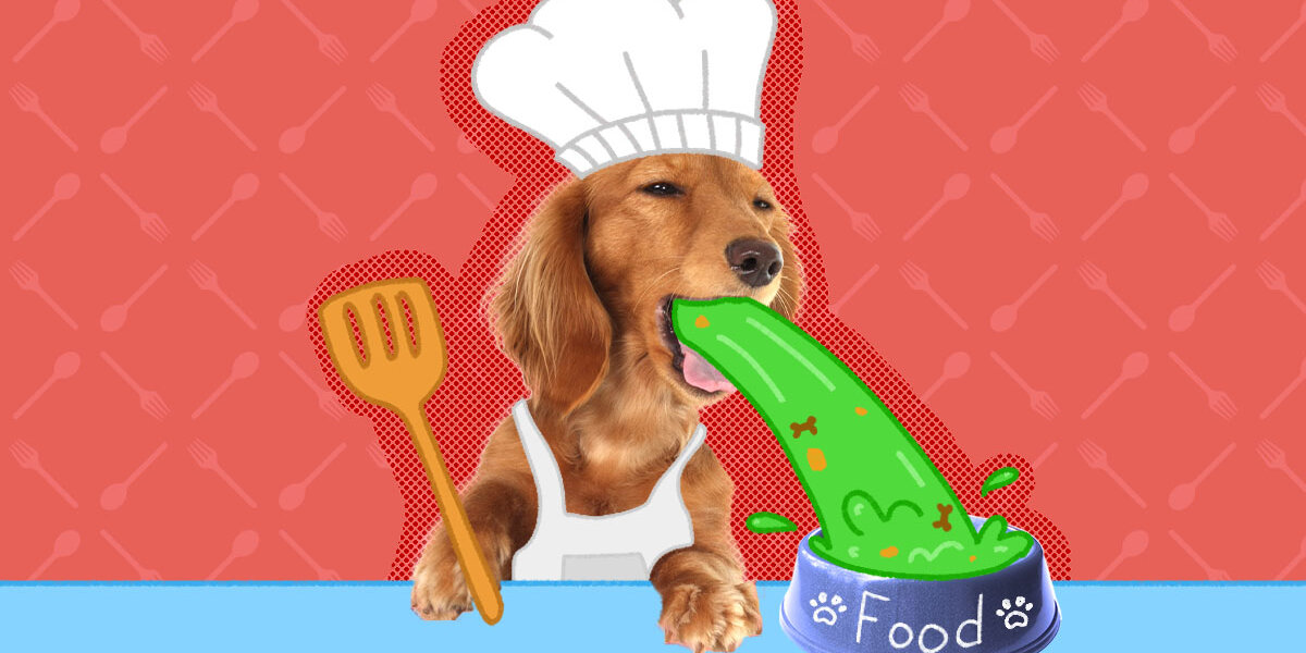 Dog vomiting solid food clearance