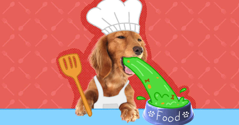 Dog ate bad clearance food