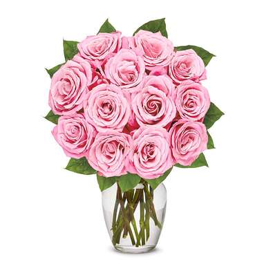 One Dozen Light Pink Roses