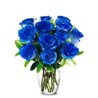 One Dozen Blue Jewel Roses