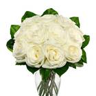 One Dozen White Roses