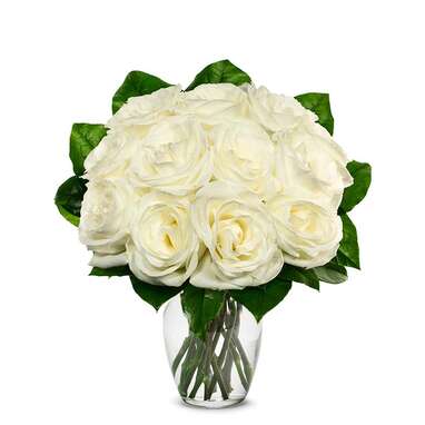 One Dozen White Roses