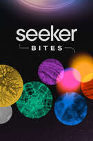 Seeker Bites cover art