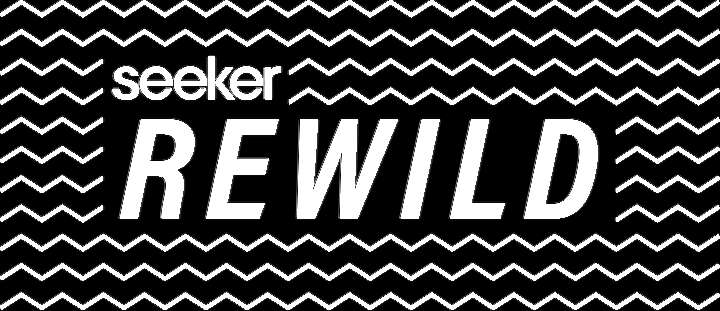 ReWild logo