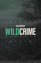 Wild Crime cover art