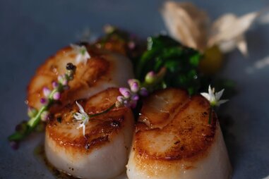 Nightbird scallops