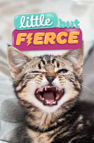 Little But Fierce cover art