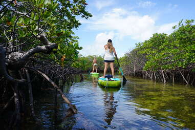 paddleboarding through mangroves in Biscayne National Park