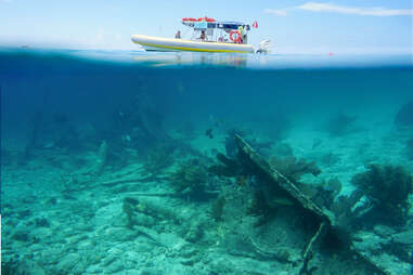 coral reefs at Biscayne National Park