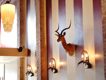 Fauna-Taxidermy-San Francisco