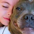Kid Writes A Love Letter To His Pittie