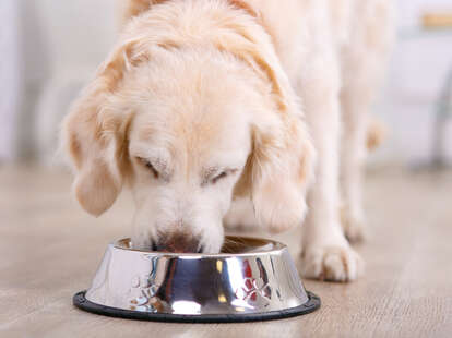 what brands of dog food are on recall