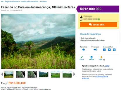 Facebook Enabling Amazon Land Grabbing Deforestation Finds Investigation Nowthis Facebook Enabling Amazon Land Grabbing Deforestation Finds Investigation Nowthis