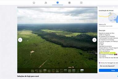 Facebook Enabling Amazon Land Grabbing Deforestation Finds Investigation Nowthis