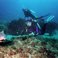 Oceanographer Sylvia Earle on the Dangers of Deep-Sea Mining