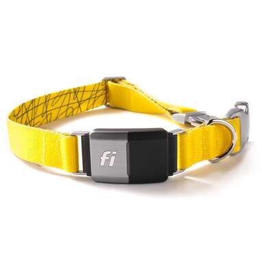Fi Smart Dog Collar