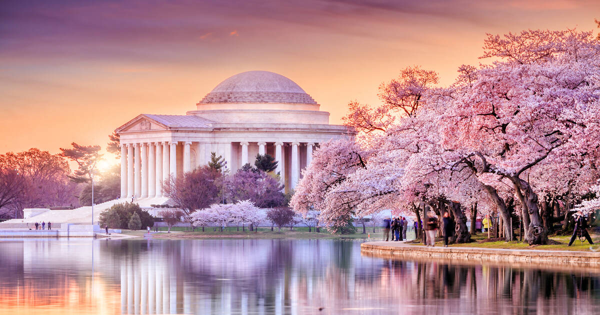 DC's Cherry Blossoms Should Hit Peak Bloom on March 21-24 - Washingtonian