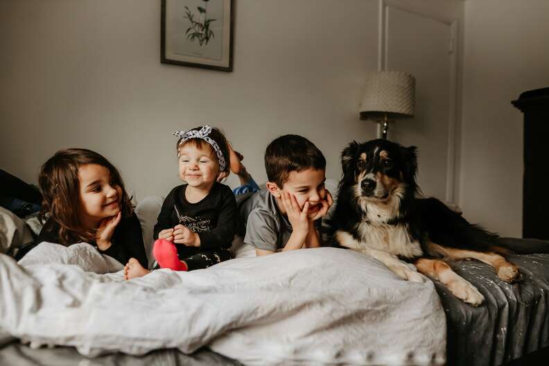 dog and kids