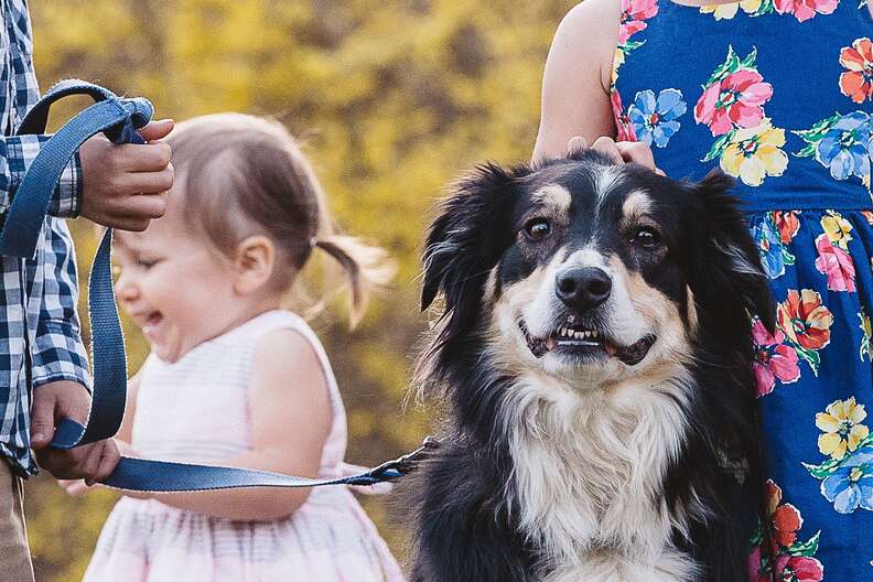 Dog Is The Only Kid To Pose And Smile For Photo - The Dodo