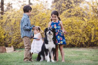 dog and kids