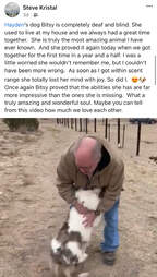 Blind dog reunites with grandpa