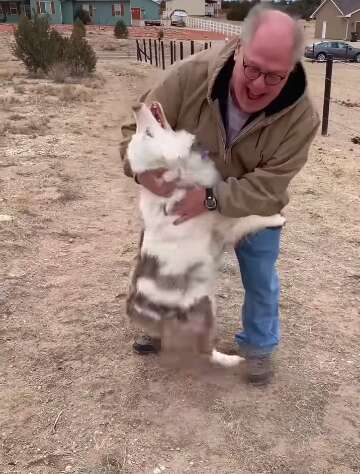 Grandpa reunites with dog