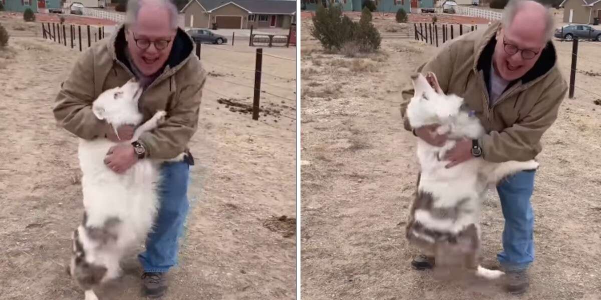 Deaf And Blind Dog Immediately Recognizes Her Grandpa After ...