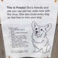 dog sign