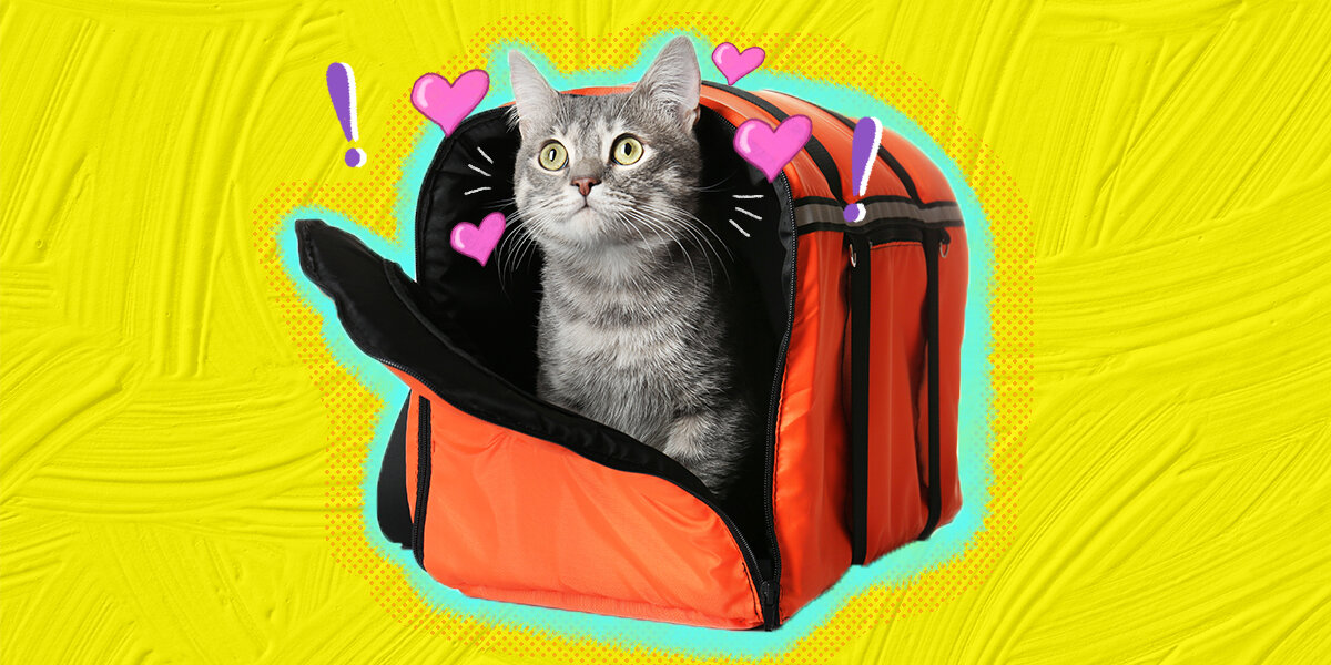 Hassle-Free Vet Visit Large Cat Carrier –