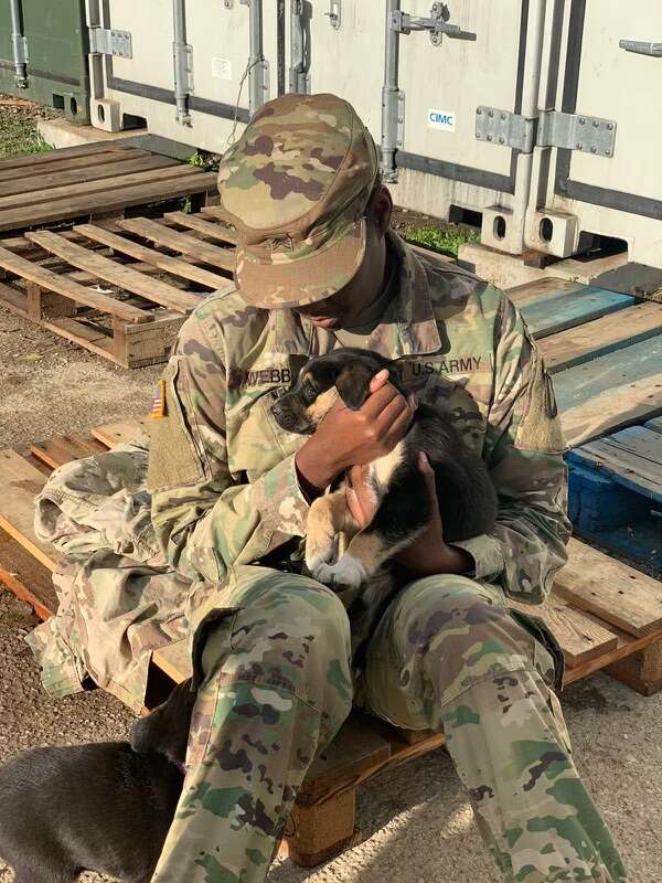Army sergeant reunites with puppy she rescued