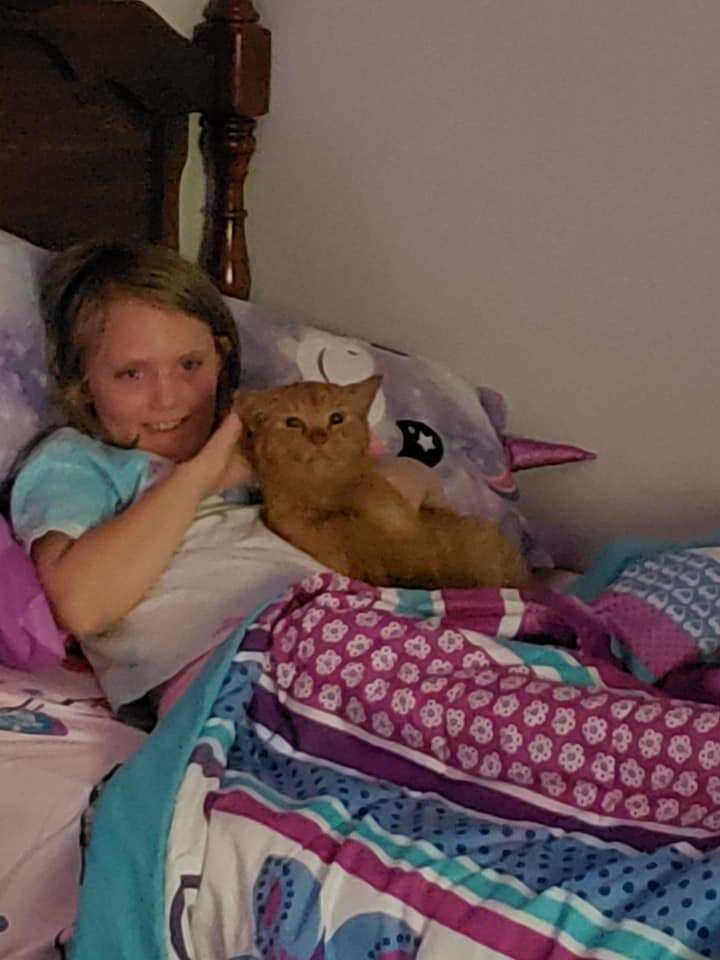 Cat sneaks into little girl's bed