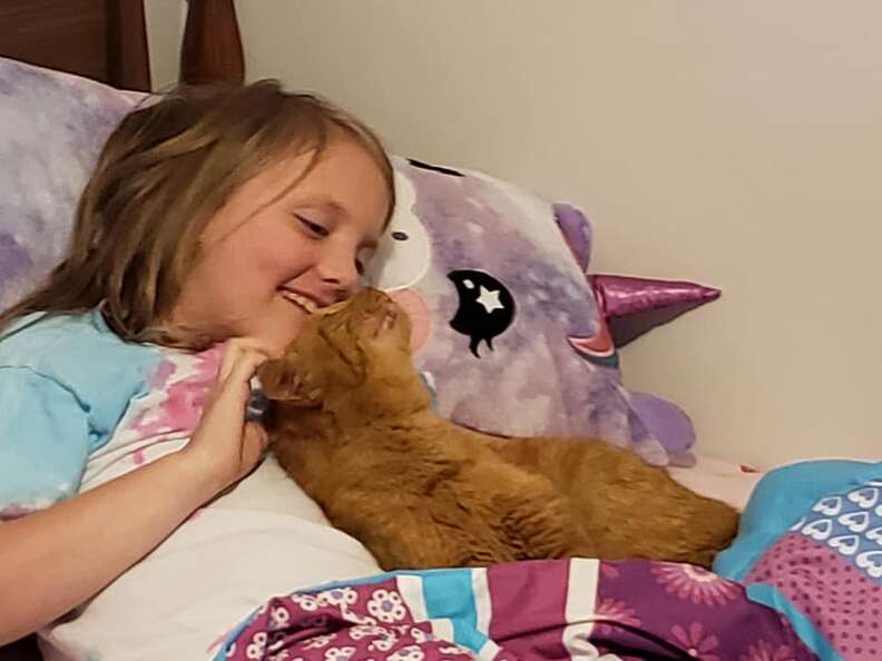 Mom discovers random cat in daughter's bed