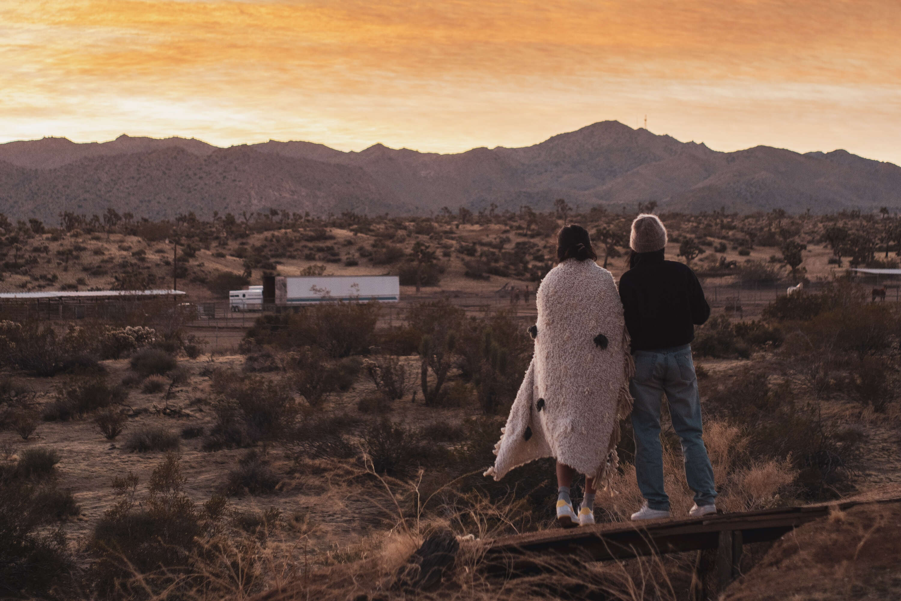 Find the Weird, Wild West in Joshua Tree