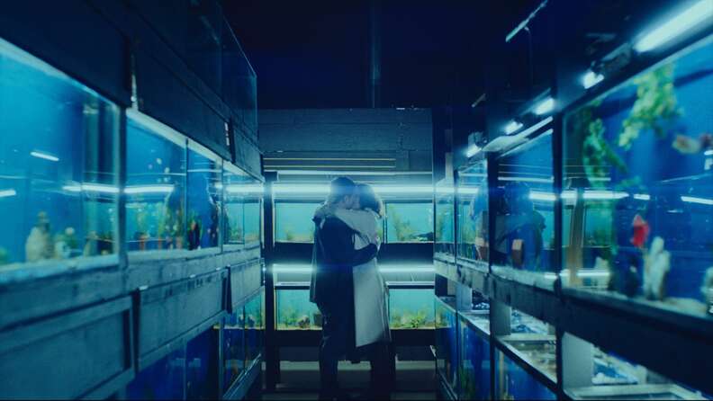 little fish movie, fish tanks kiss