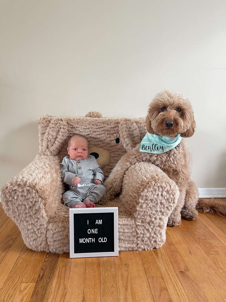 Dog and best sale baby photoshoot