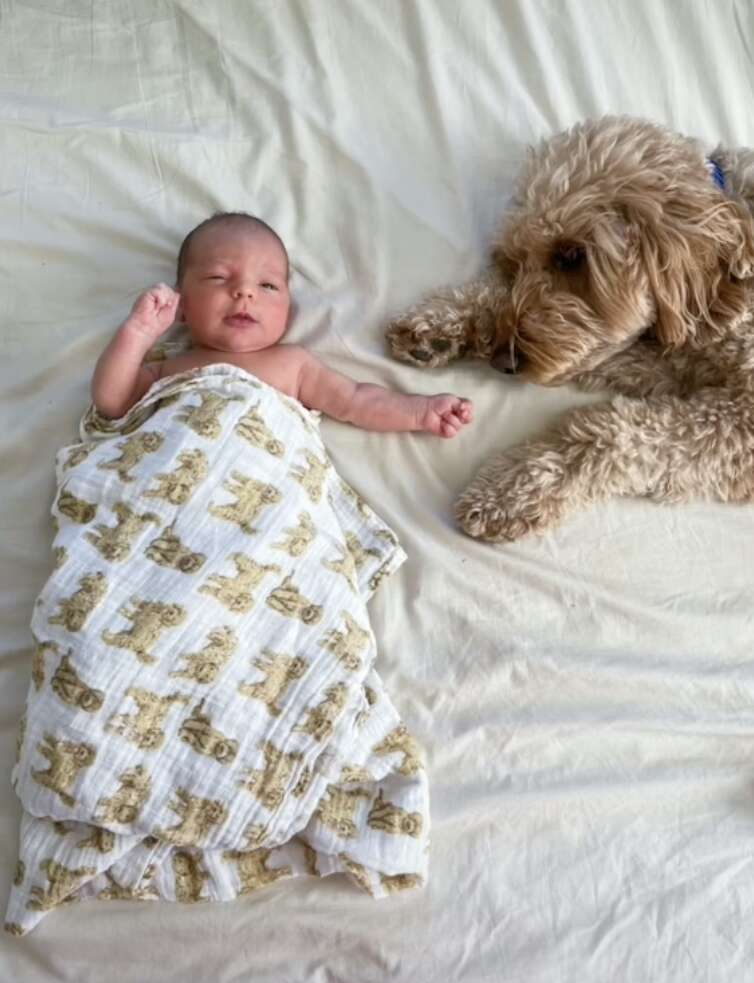 dog and baby