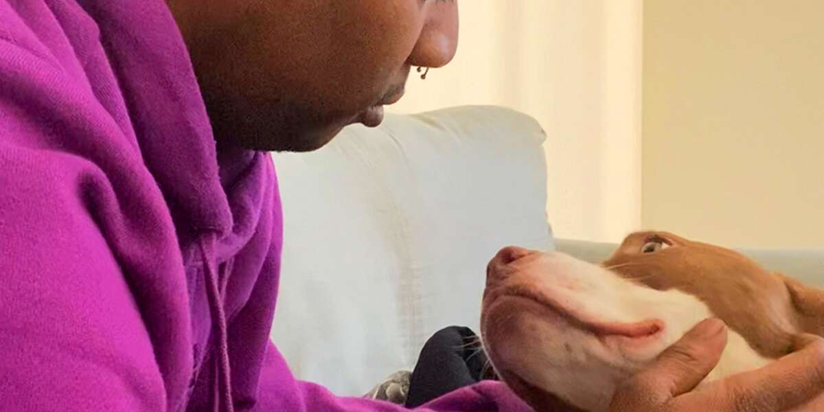 Sweet Older Man Drives Across The Country To Help Dog Reunite With His ...
