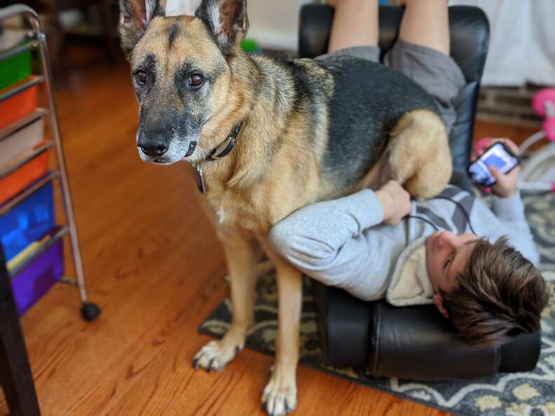 dog sitting on kid