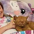 Woman Is Surprised To Find A Random Cat In Her Daughter’s Bed