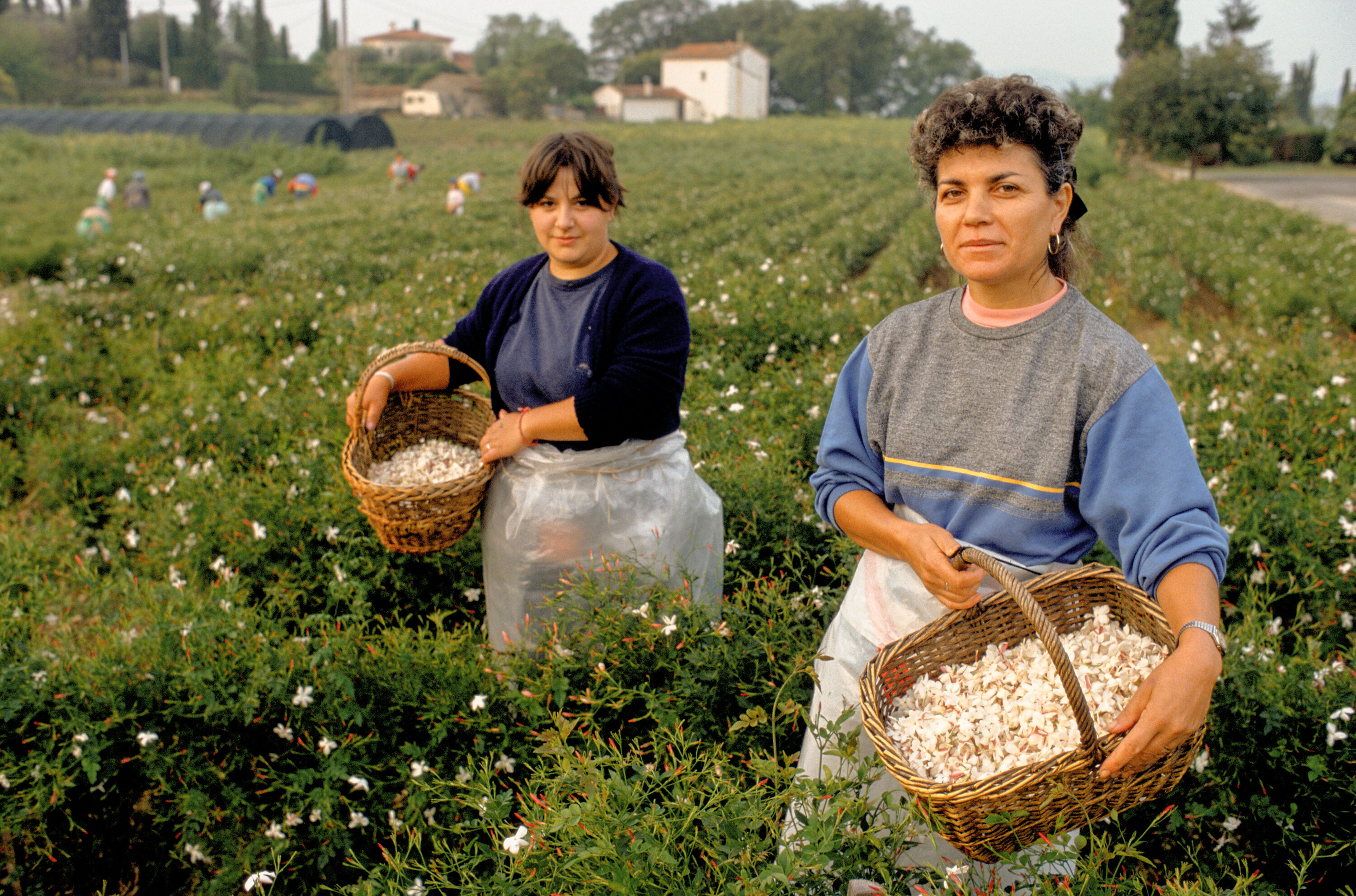 This Tiny French Town Grows the World’s Best-Smelling Flowers