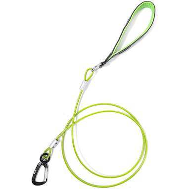 Best no-chew leash: Mighty Paw Chew-Proof Dog Leash