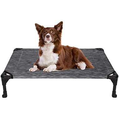 Best elevated bed: Amazon Basics Cooling Elevated Pet Bed