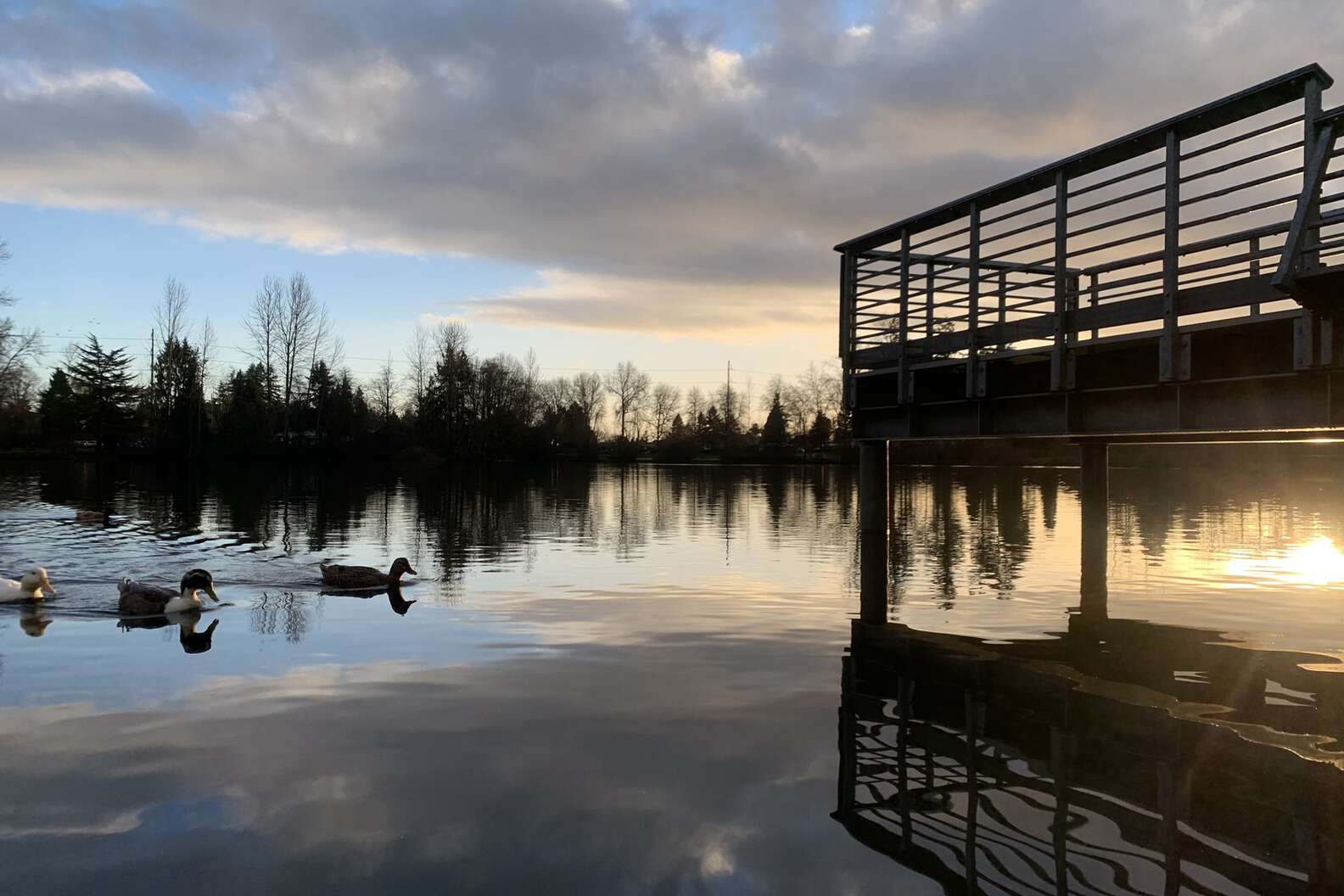 Courtesy of Metro Parks Tacoma