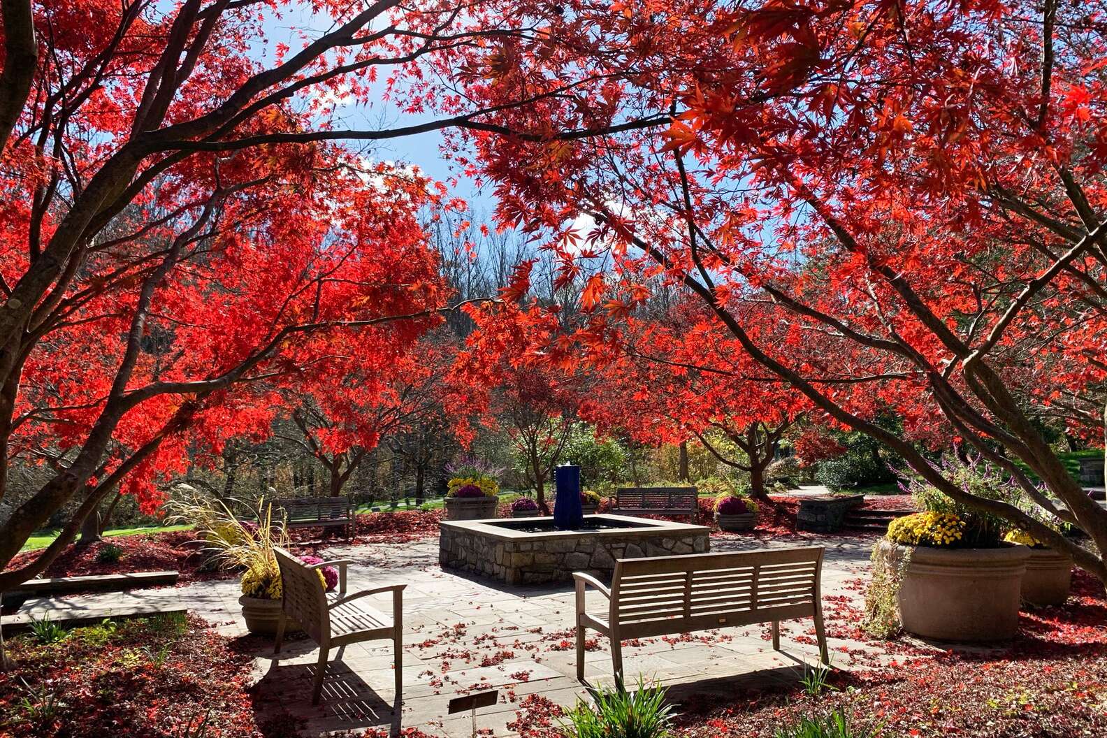 Brookside Gardens, Montgomery Parks