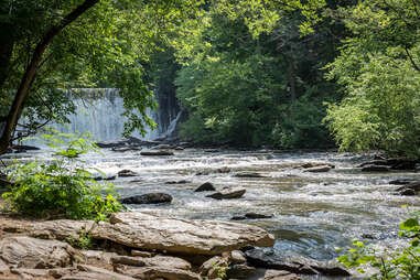 Old Mill Park